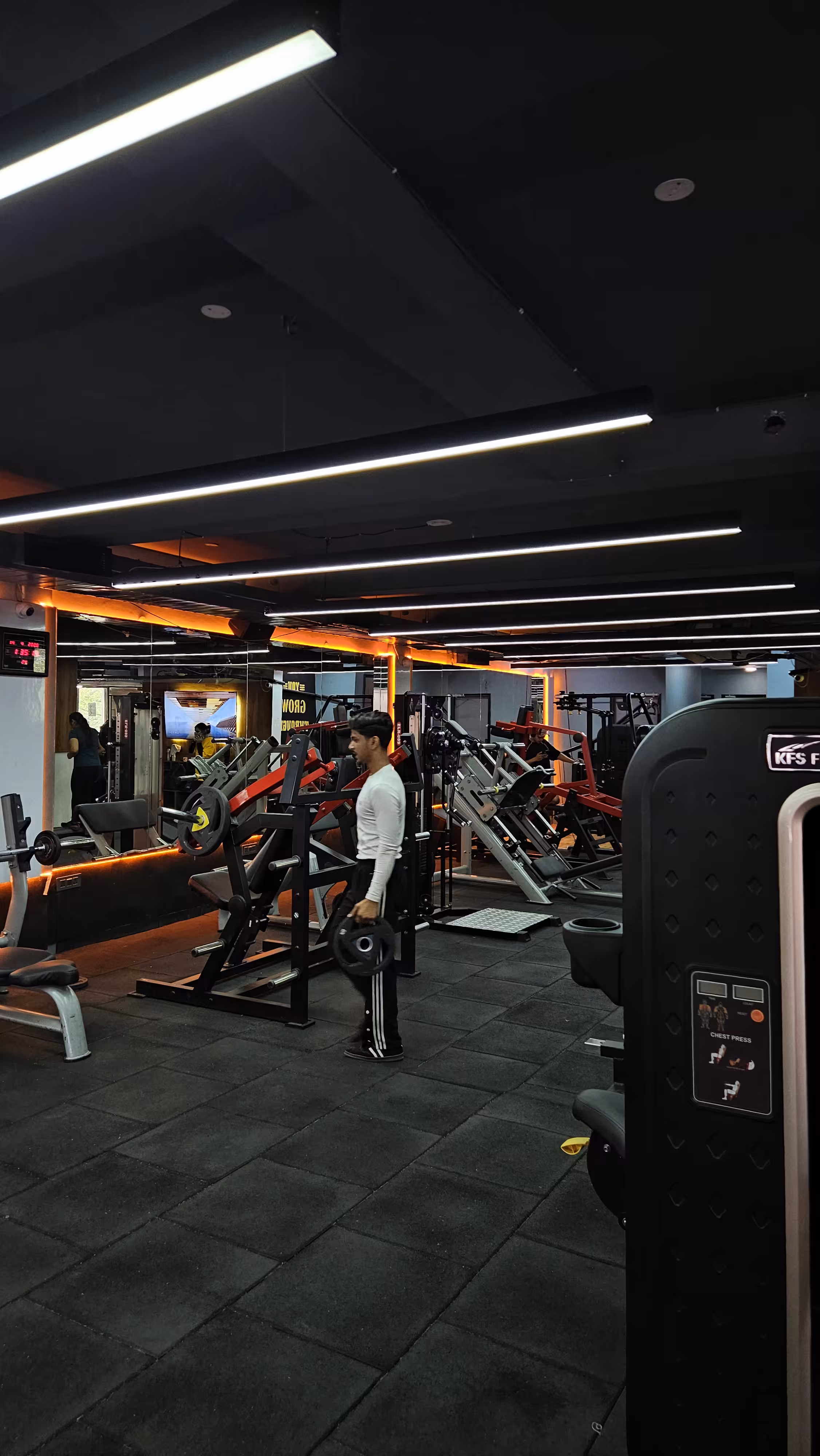 Fitness Simplified weight area